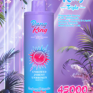 Alternative view of BANGKING 45000 Puffs BK45 Rechargeable Vape 650mAh Battery 15ml x 3 Liquid 10 Flavors Nicotine Options 0% 2% 3% 5%