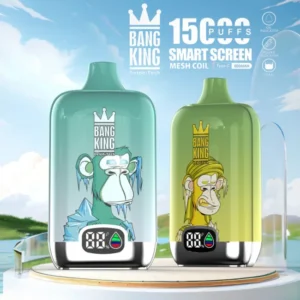 Bang King 15000 Puffs Vape Disposable Vapor Mesh Coil E Cigarettes 10 Flavors Wholesale Bulk Buy Disposable Vape Pen