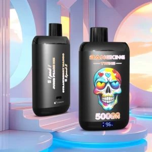 High Quality Bang King Twins 50K DSK054 Wholesale Factory Supply TYPE C Nicotine 0 2 3 5 Percent