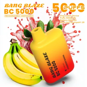 Bang BC5000 Box 5000 Puffs Vape original E Cigarette 0% 2% 3% 5% Nicotine Bulk Buy Disposable Vape Wholesale