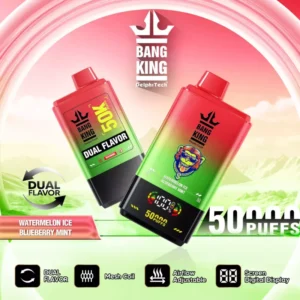 BANG KING 50000 Puffs BK50 Rechargeable Vape 850mAh Battery 50ml E-liquid Adjustable Airflow Type-C Charging 1.0 Ohm Resistance