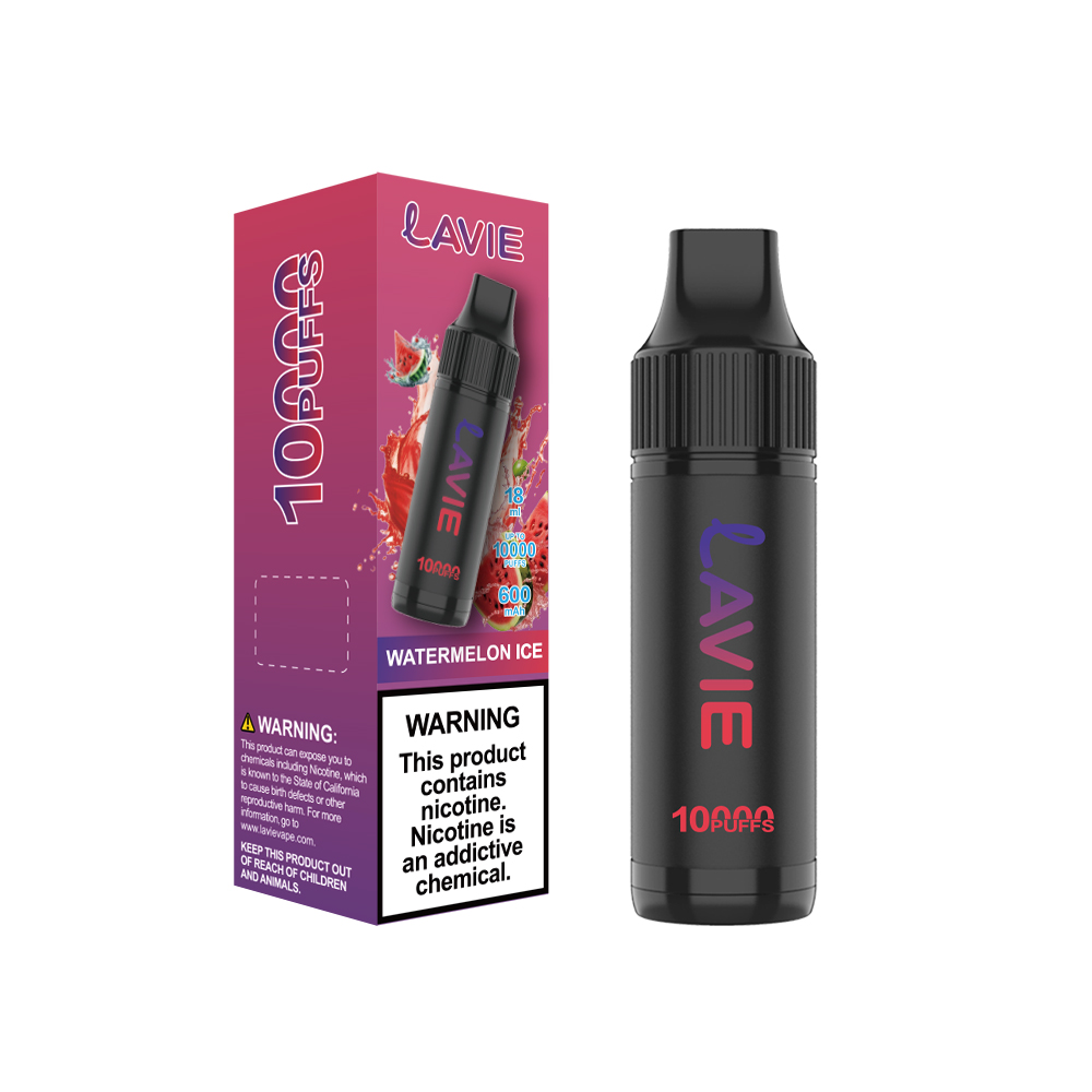 LAVIE 10000 Puffs Rechargeable Disposable Vape, Type-C Charging, Unique Paintbrush Shape - Image 2