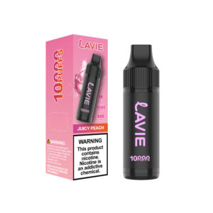 LAVIE 10000 Puffs Rechargeable Disposable Vape, Type-C Charging, Unique Paintbrush Shape