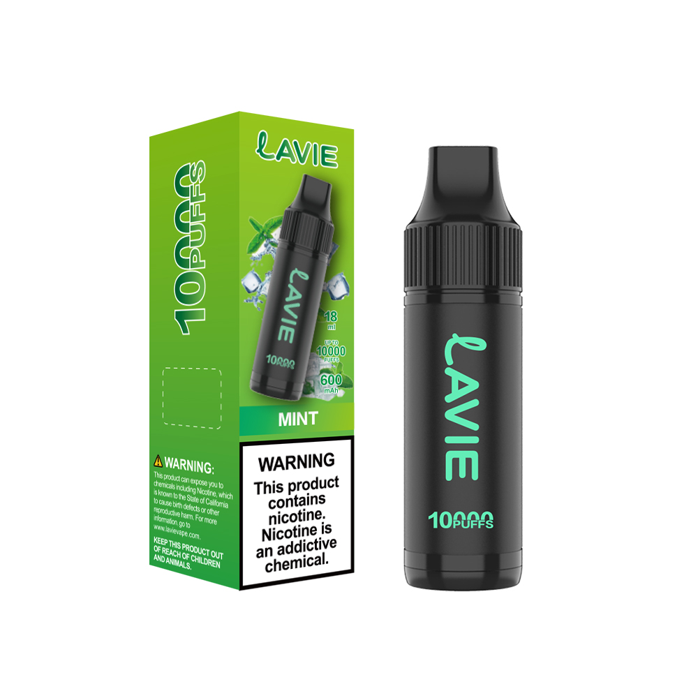 LAVIE 10000 Puffs Rechargeable Disposable Vape, Type-C Charging, Unique Paintbrush Shape - Image 9