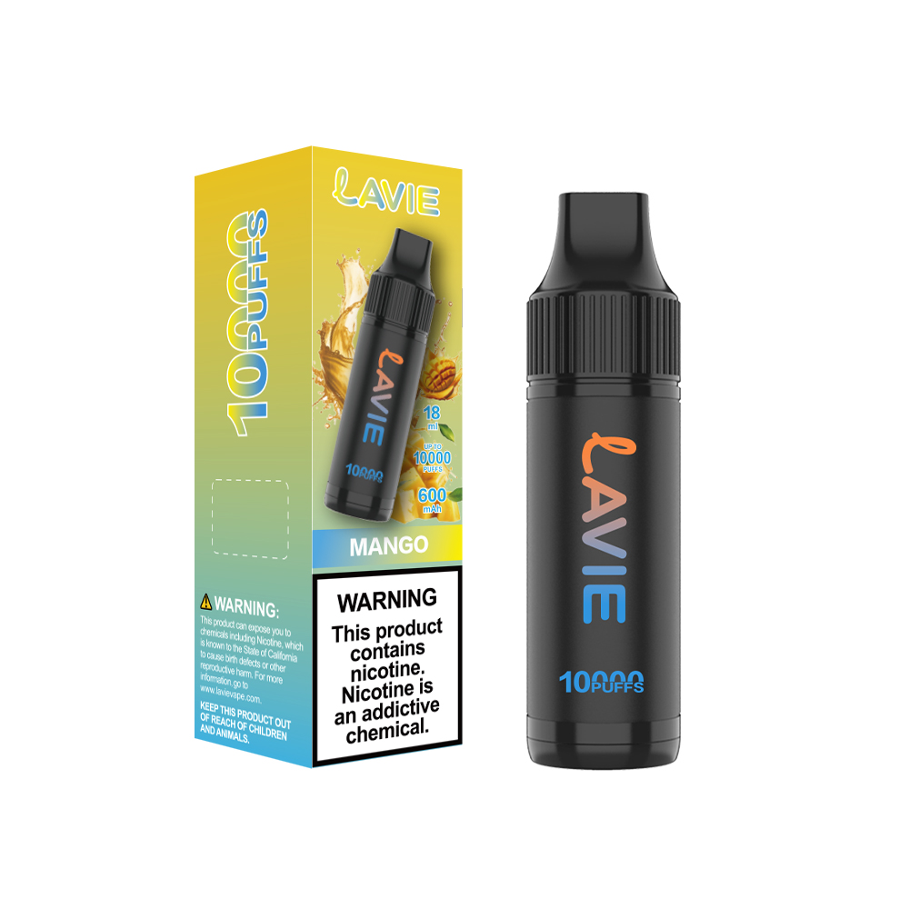 LAVIE 10000 Puffs Rechargeable Disposable Vape, Type-C Charging, Unique Paintbrush Shape - Image 8