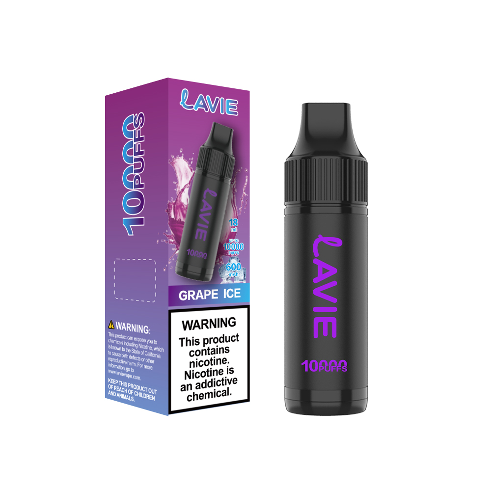 LAVIE 10000 Puffs Rechargeable Disposable Vape, Type-C Charging, Unique Paintbrush Shape - Image 7