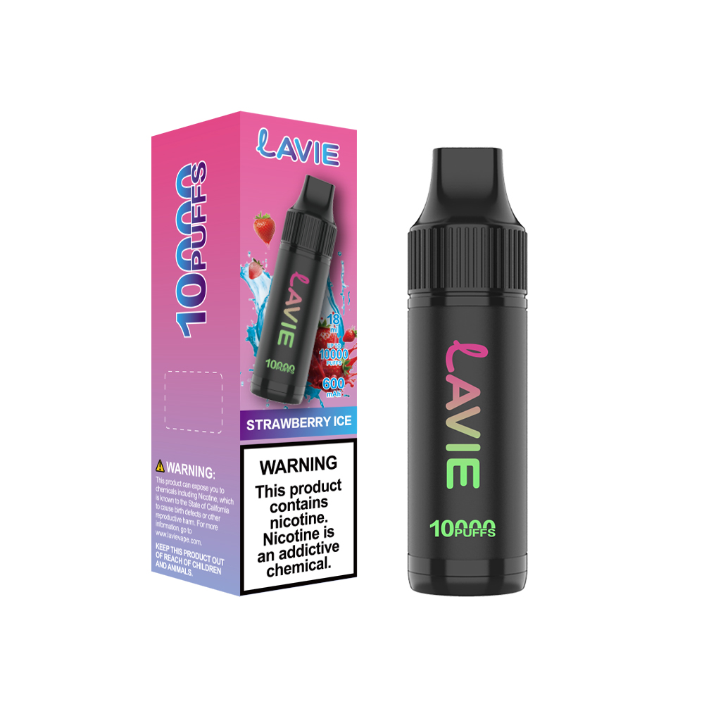 LAVIE 10000 Puffs Rechargeable Disposable Vape, Type-C Charging, Unique Paintbrush Shape - Image 6