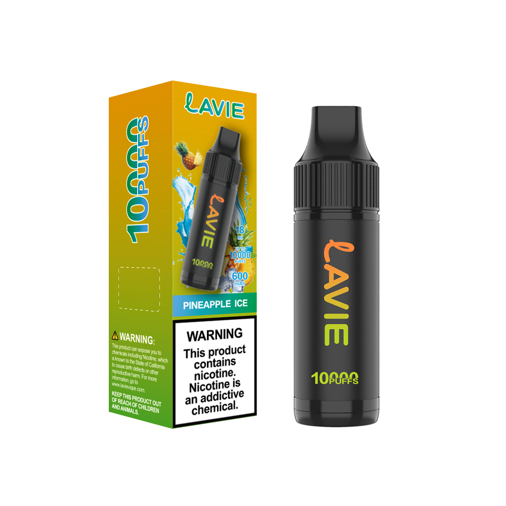 LAVIE 10000 Puffs Rechargeable Disposable Vape, Type-C Charging, Unique Paintbrush Shape - Image 4