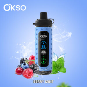 OKSO Shisha Max 40000 Puffs , 800mAh Built-in Battery, Adjustable Airflow, 0%/2%/3%/5% Nicotine Optional