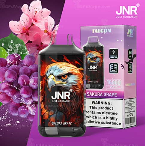 JNR Falcon Approx 16000 Puffs , Crystal Craft Design, High Puff Disposable Vape King - Image 12