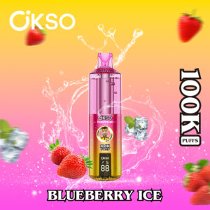 OKSO Tornado 100000 Puffs , 800mAh Type-C Rechargeable, LED Smart Display, Dual Mesh Coil, 0%/2%/3%/5% Nicotine Options