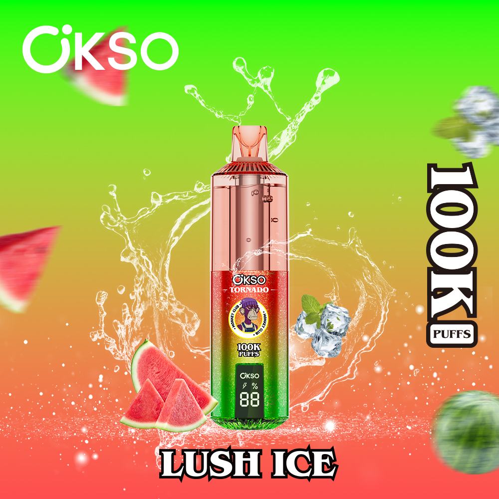 OKSO Tornado 100000 Puffs , 800mAh Type-C Rechargeable, LED Smart Display, Dual Mesh Coil, 0%/2%/3%/5% Nicotine Options - Image 2